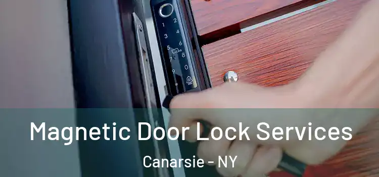 Magnetic Door Lock Services Canarsie - NY