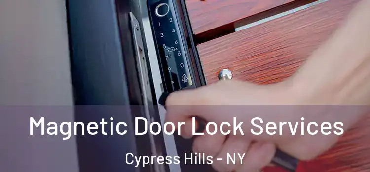 Magnetic Door Lock Services Cypress Hills - NY
