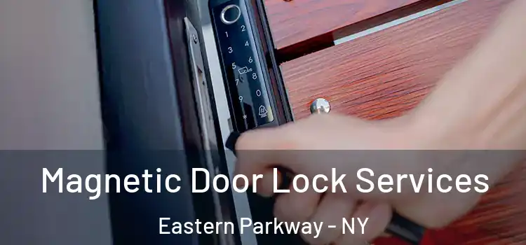  Magnetic Door Lock Services Eastern Parkway - NY