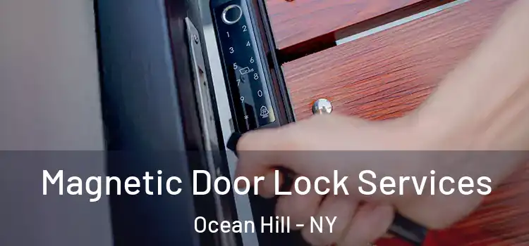  Magnetic Door Lock Services Ocean Hill - NY