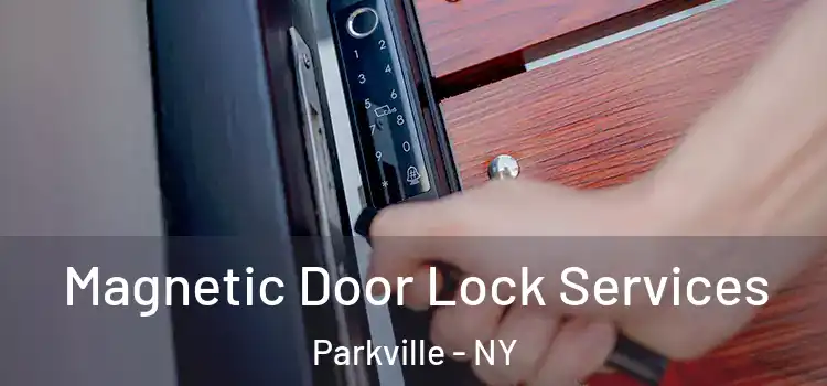 Magnetic Door Lock Services Parkville - NY