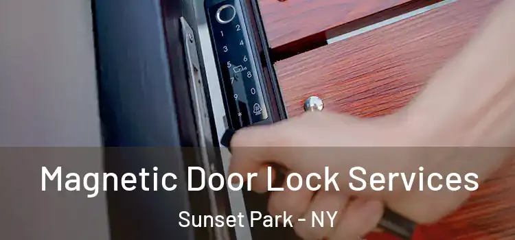 Magnetic Door Lock Services Sunset Park - NY