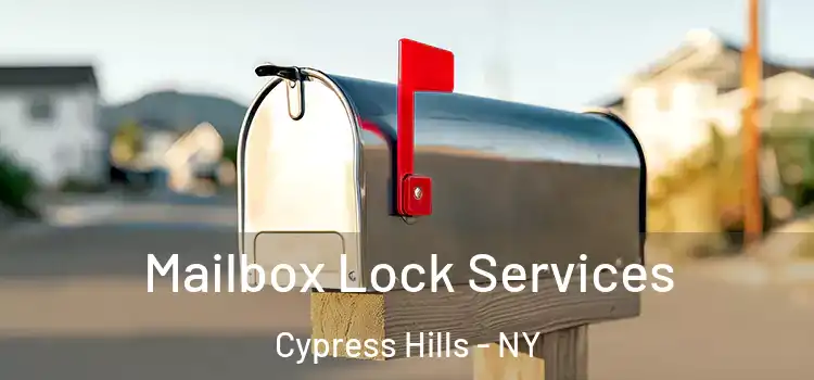  Mailbox Lock Services Cypress Hills - NY