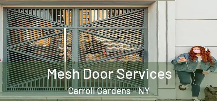 Mesh Door Services Carroll Gardens - NY