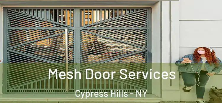  Mesh Door Services Cypress Hills - NY