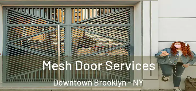 Mesh Door Services Downtown Brooklyn - NY
