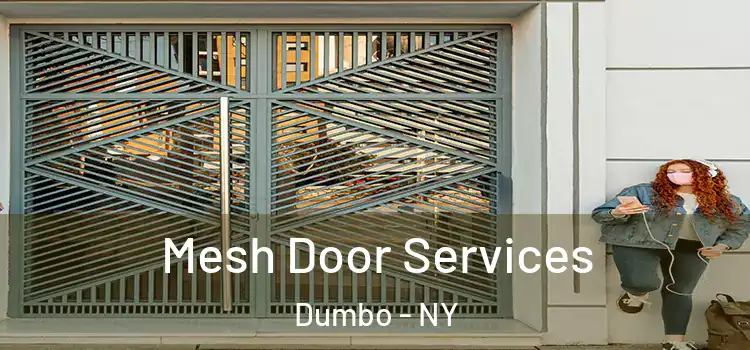 Mesh Door Services Dumbo - NY