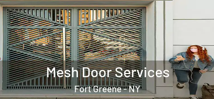 Mesh Door Services Fort Greene - NY