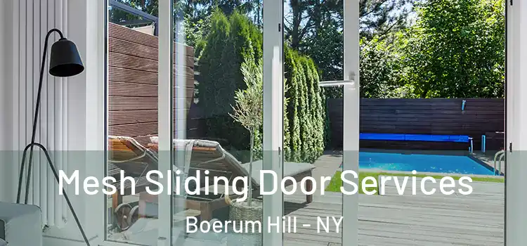 Mesh Sliding Door Services Boerum Hill - NY