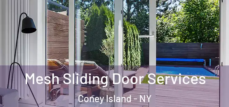 Mesh Sliding Door Services Coney Island - NY