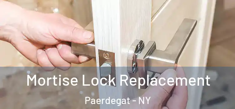 Mortise Lock Replacement Paerdegat - NY