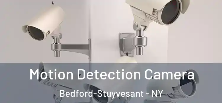  Motion Detection Camera Bedford-Stuyvesant - NY