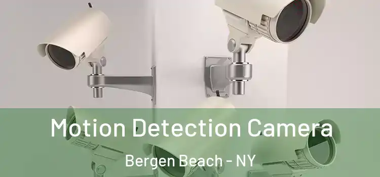  Motion Detection Camera Bergen Beach - NY