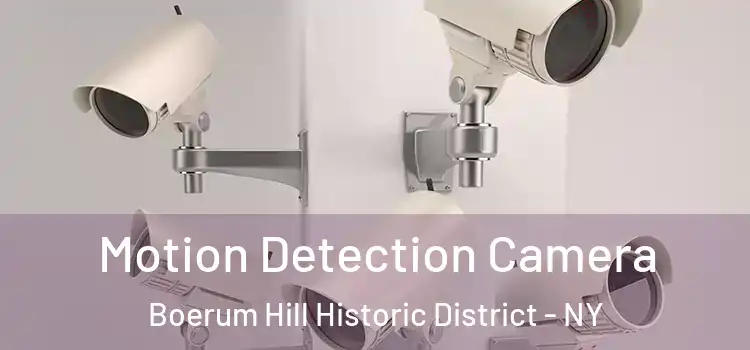  Motion Detection Camera Boerum Hill Historic District - NY