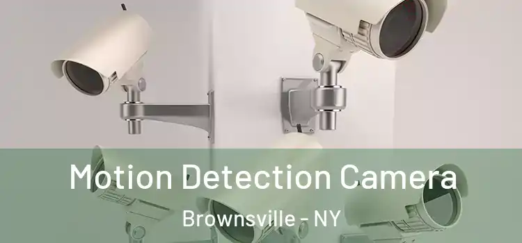  Motion Detection Camera Brownsville - NY