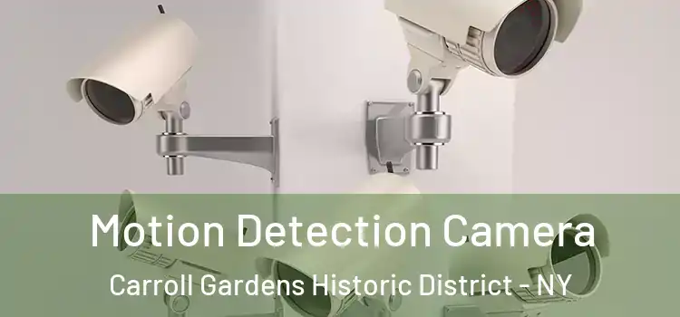  Motion Detection Camera Carroll Gardens Historic District - NY