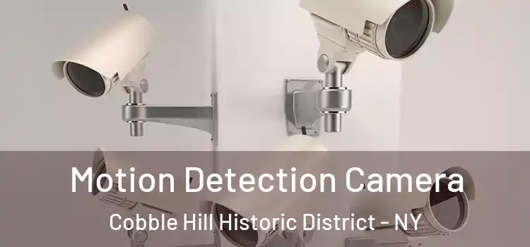  Motion Detection Camera Cobble Hill Historic District - NY