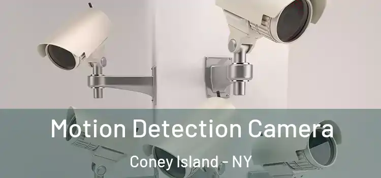  Motion Detection Camera Coney Island - NY