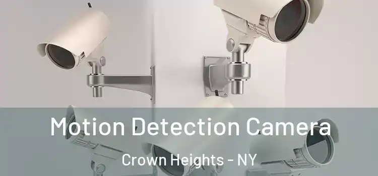  Motion Detection Camera Crown Heights - NY