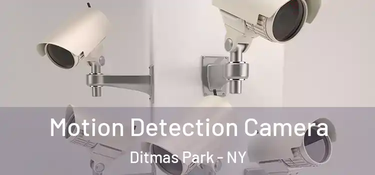  Motion Detection Camera Ditmas Park - NY
