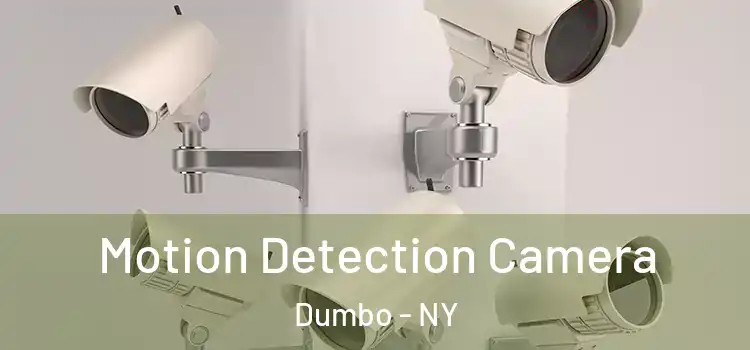  Motion Detection Camera Dumbo - NY