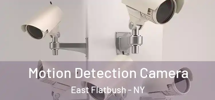  Motion Detection Camera East Flatbush - NY