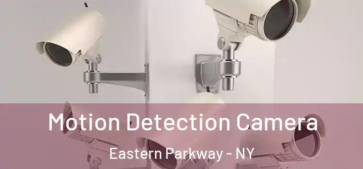  Motion Detection Camera Eastern Parkway - NY