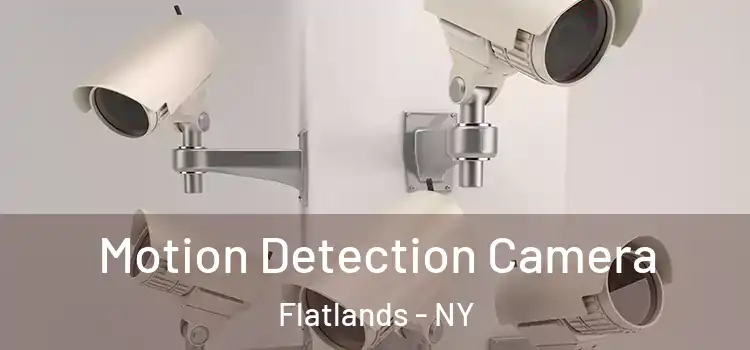  Motion Detection Camera Flatlands - NY