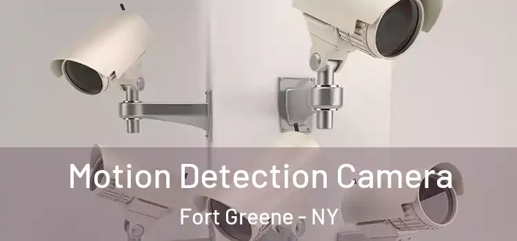  Motion Detection Camera Fort Greene - NY