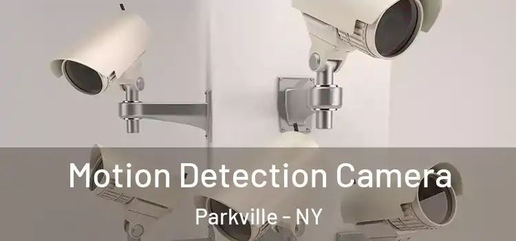  Motion Detection Camera Parkville - NY