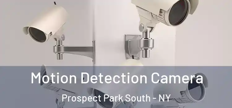  Motion Detection Camera Prospect Park South - NY