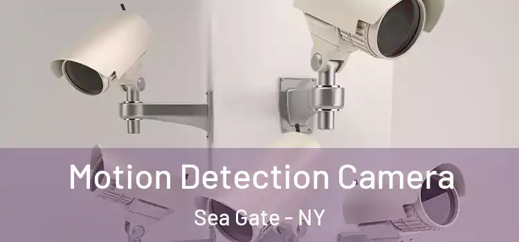  Motion Detection Camera Sea Gate - NY