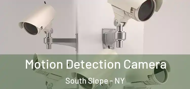  Motion Detection Camera South Slope - NY
