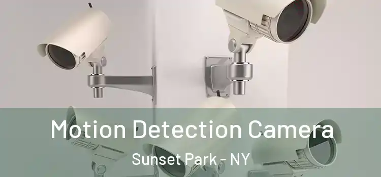  Motion Detection Camera Sunset Park - NY