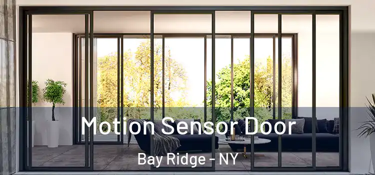  Motion Sensor Door Bay Ridge - NY