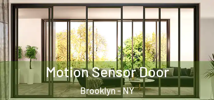  Motion Sensor Door Brooklyn - NY