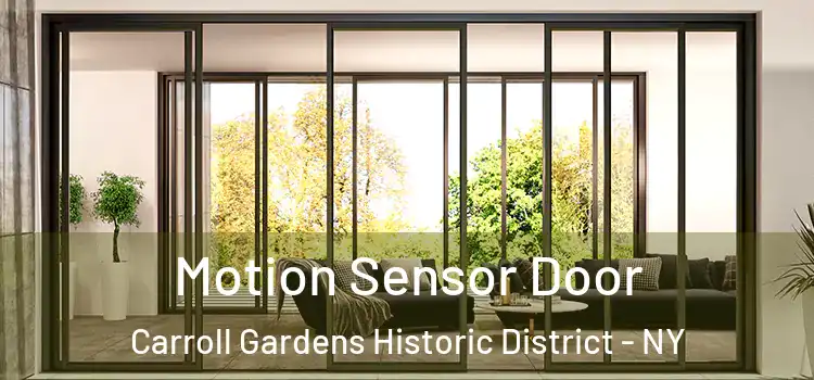 Motion Sensor Door Carroll Gardens Historic District - NY