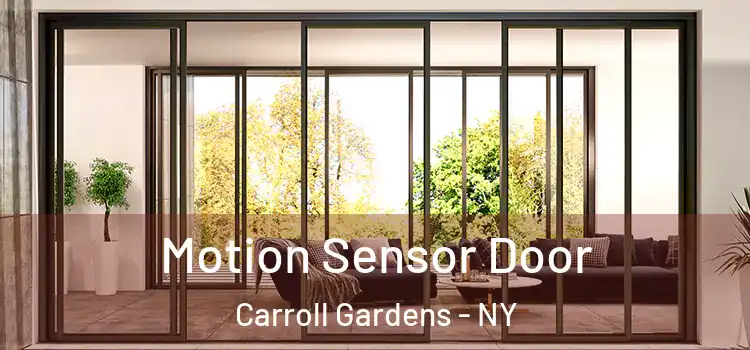 Motion Sensor Door Carroll Gardens - NY