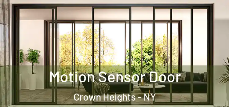 Motion Sensor Door Crown Heights - NY