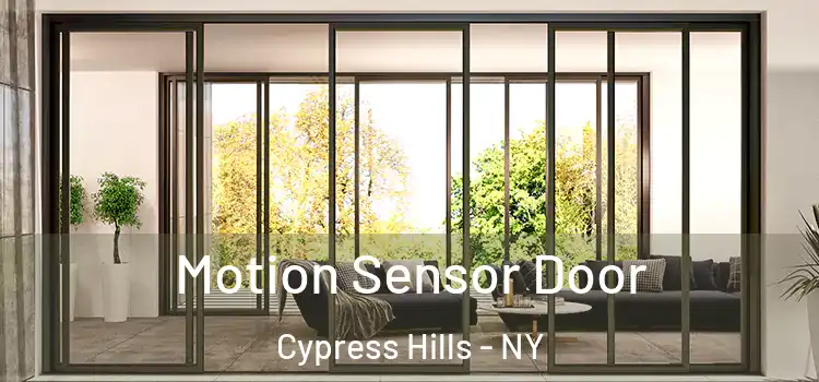 Motion Sensor Door Cypress Hills - NY