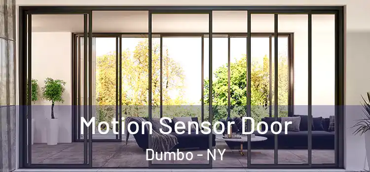 Motion Sensor Door Dumbo - NY