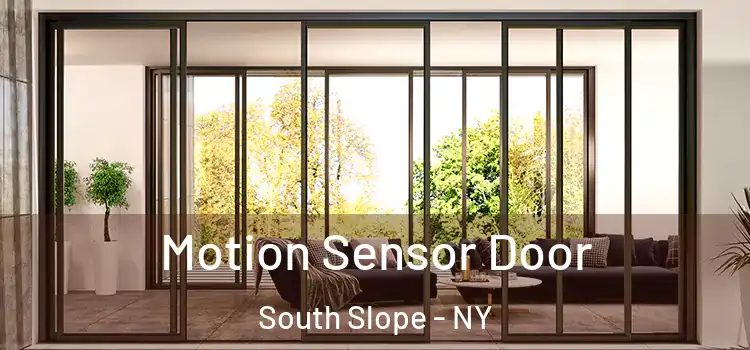 Motion Sensor Door South Slope - NY