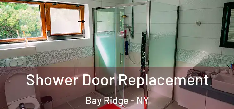Shower Door Replacement Bay Ridge - NY