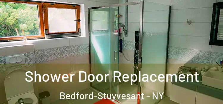 Shower Door Replacement Bedford-Stuyvesant - NY