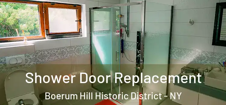Shower Door Replacement Boerum Hill Historic District - NY