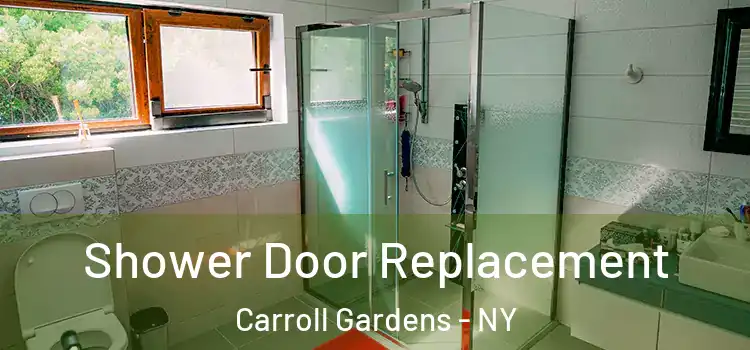 Shower Door Replacement Carroll Gardens - NY