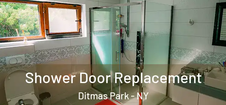 Shower Door Replacement Ditmas Park - NY
