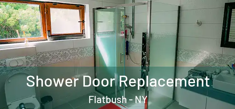 Shower Door Replacement Flatbush - NY