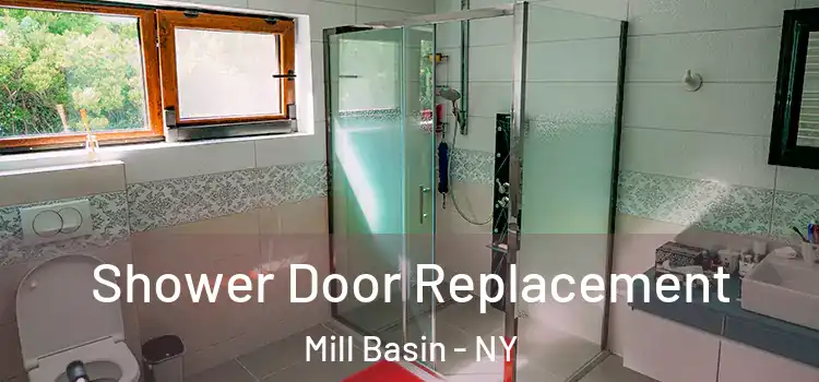 Shower Door Replacement Mill Basin - NY