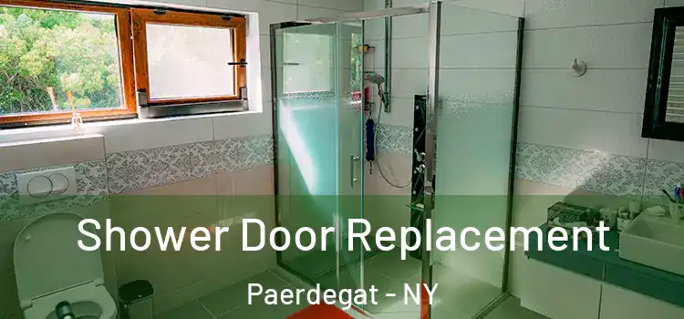 Shower Door Replacement Paerdegat - NY
